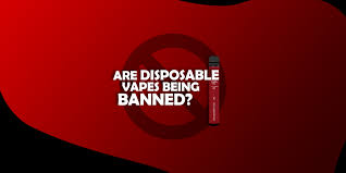 Clearing the Air: The Case for Banning Disposable Vapes