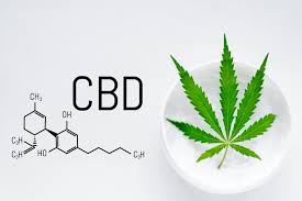 Exploring the CBD Industry: A Comprehensive Guide to Cannabidiol