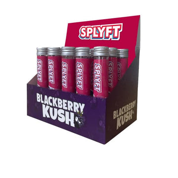 Cones de rolamento com infusão de terpeno de cannabis SPLYFT – Blackberry Kush (COMPRE 1 E GANHE 1 GRÁTIS)