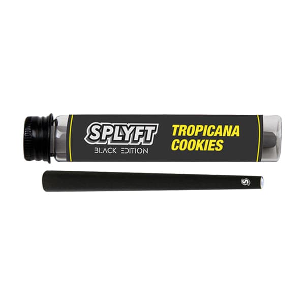 SPLYFT Black Edition Cannabis Terpene Infused Cones – Tropicana Cookies (COMPRE 1 E GANHE 1 GRÁTIS)